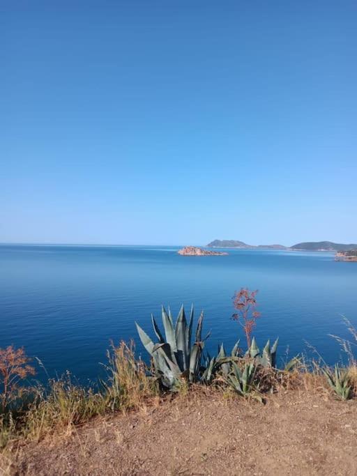Gli appartamenti di Francuzzo Teulada Esterno foto
